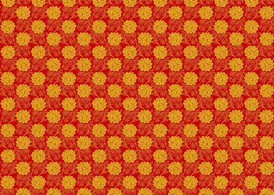Antiodor Worsted Warp Gebreide polyester matrasstof bedrukt in verschillende patronen