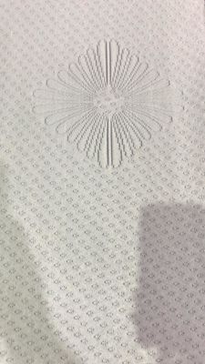 SGS Gerecycleerde Stof van de Polyester160gsm Gebreide Jacquard voor Beddegoed